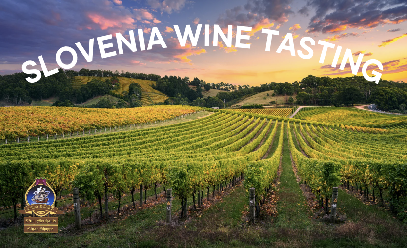 Slovenia Wine Tasting